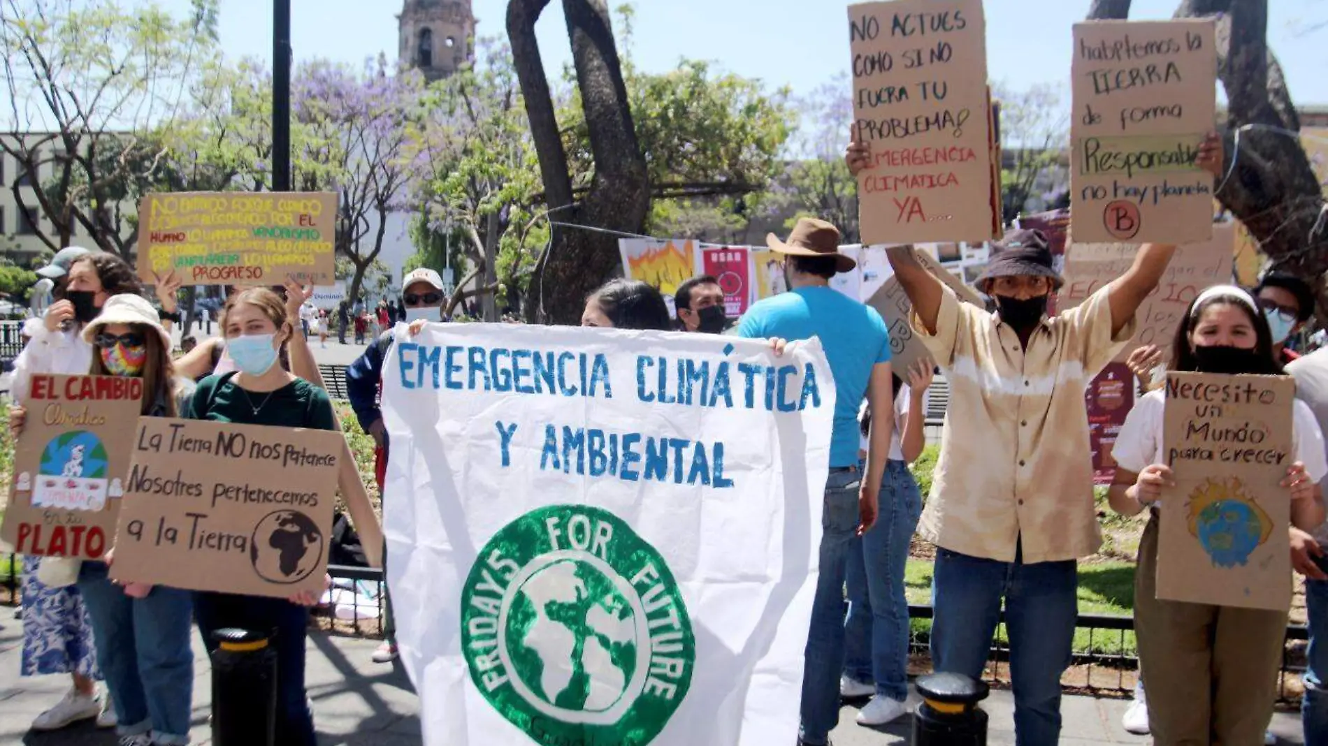 simpatizantes de 'Fridays For Future'